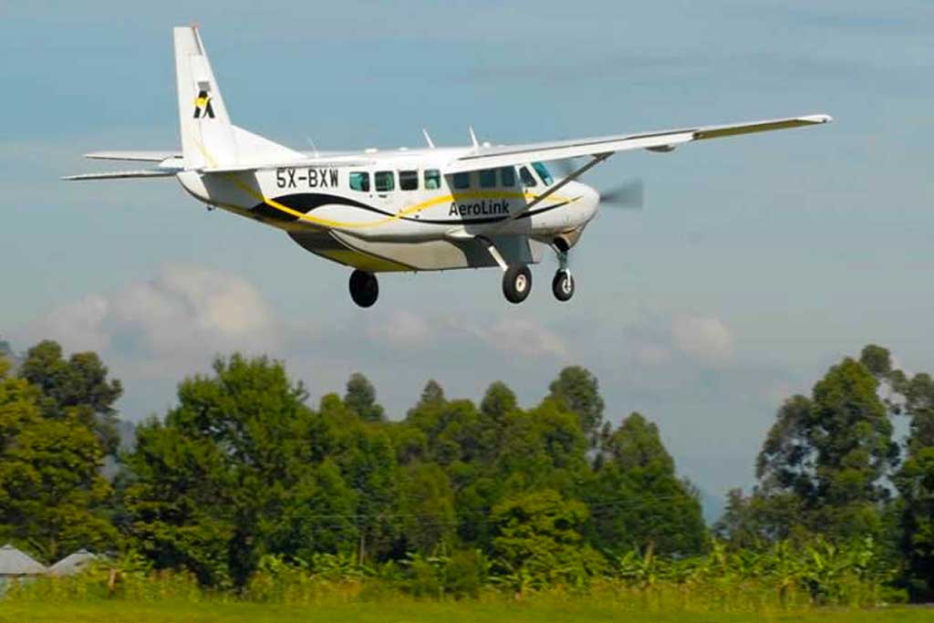 3 Days Flying Safari to Bwindi Forest