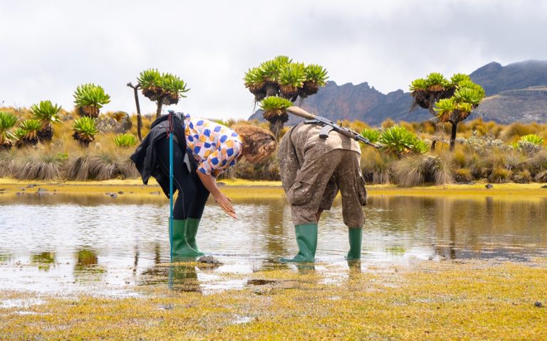 8 Days Mountain Elgon hike & Jinja tour