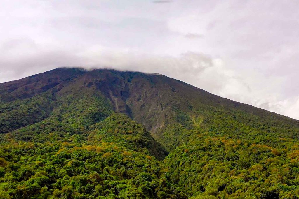 3 Days Mountain Muhabura Hike